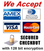 Secured checkout and payment methods